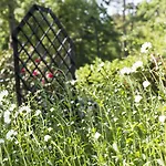 Western Ostseehotel Waldschloesschen 4*