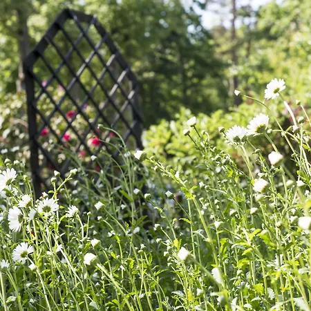 Western Ostseehotel Waldschloesschen 4*