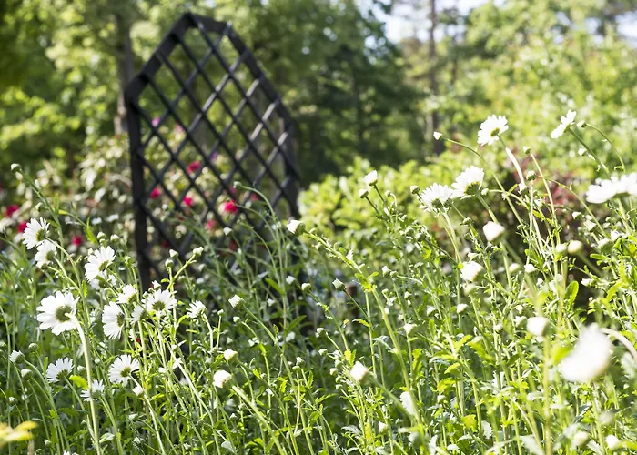 Western Ostseehotel Waldschloesschen 4*